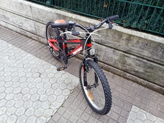 Bici MTB niño 20 WRC