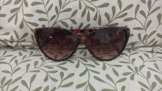 Gafas de sol estilo ojo de gato