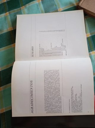 Historia de la media