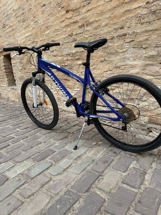 Bicicleta Mountain bike