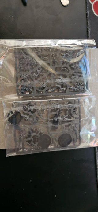 SOLO MINIS Warhammer 40K: 10 Termagantes