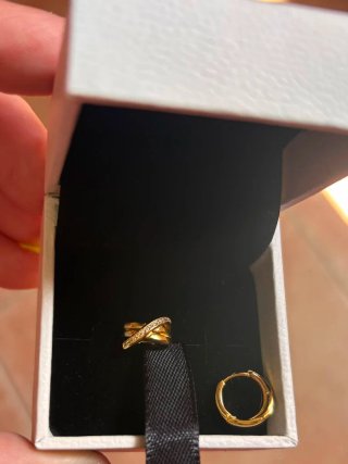 Pendientes Pandora Oro