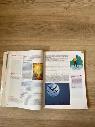 Lengua Castellana y Literatura Andalucía