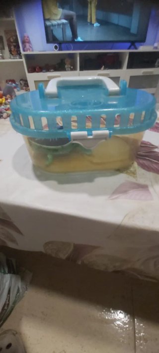 Tortuga interactiva con acuario