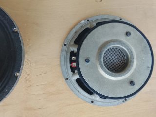 Altavoces negros