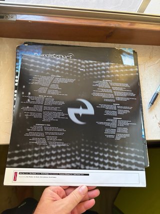 LP Evanescence Fallen 2017