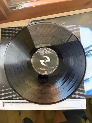 LP Evanescence Fallen 2017