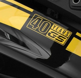 Kit Pegatinas BMW GS 40 Aniversario