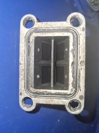 Laminas Polini Carbono AM6