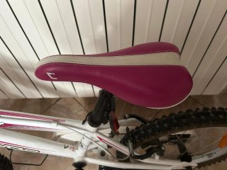 Bicicleta infantil  20 pulgadas