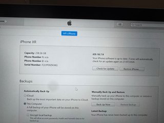 iPhone XR Blu