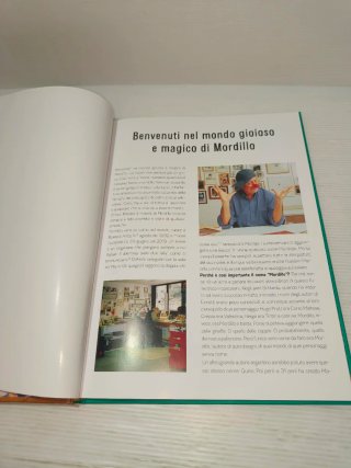 Libro Il Meraviglioso Mondo Di Mordillo