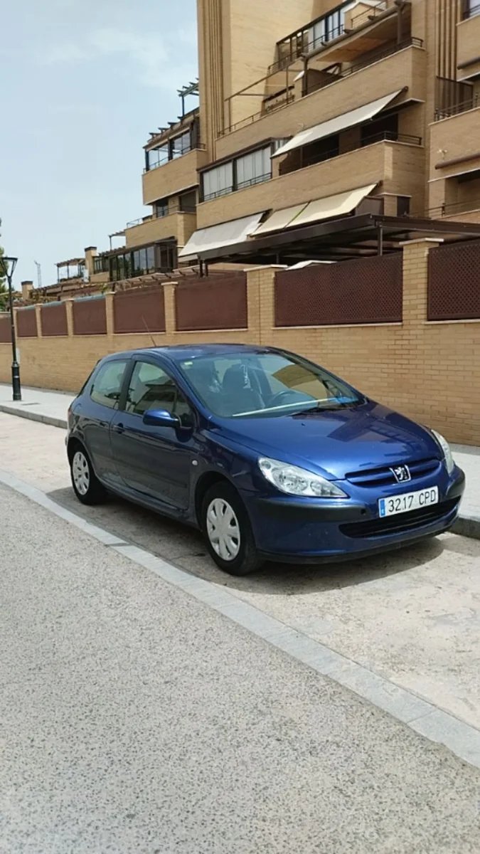 Peugeot 307 2004 - foto 1
