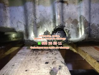 Skoda rectp5442509 motor completo bsw  Ref:1503685