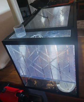 Terrario para reptiles negro/transparente