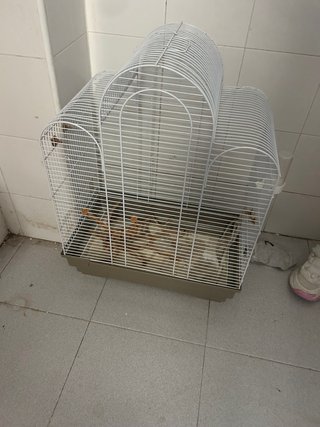 Jaula para loros blanca y beige