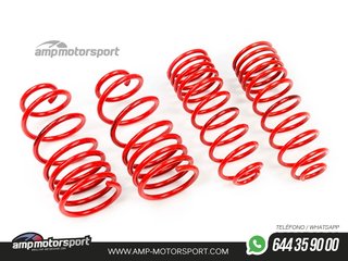 MUELLES DEPORTIVOS MTS TECHNIK MTSXTO087