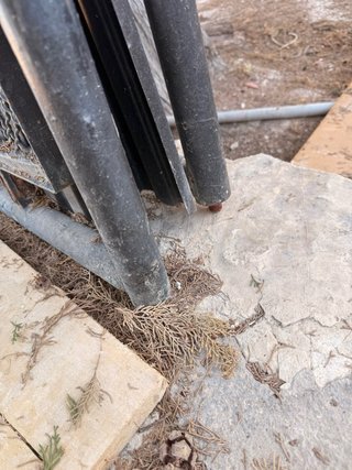 Puerta de hierro para jardín