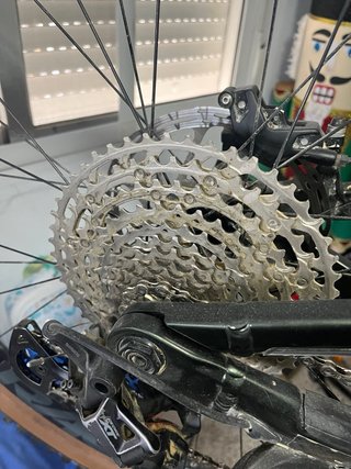 iLynx Trail aluminio 8.1 BH
