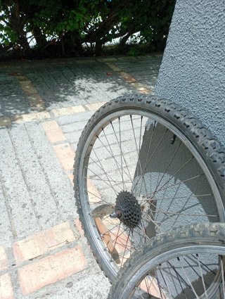 Ruedas de Bicicleta