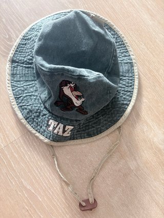 Lote Gorros Pokémon y Taz Niños