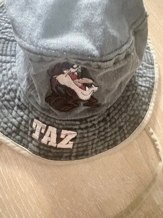 Lote Gorros Pokémon y Taz Niños