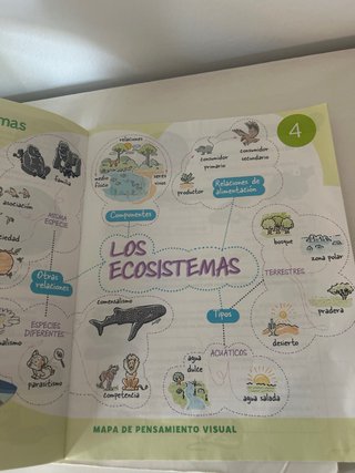 Ciencias de la naturaleza, 3 Primaria