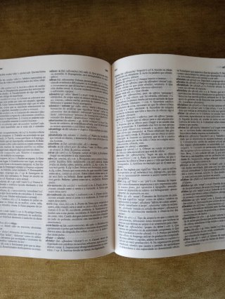 Dicionario Xerais da lingua