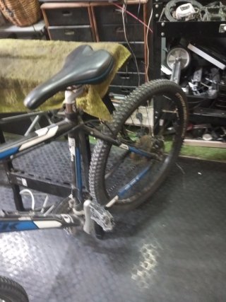 Bicicleta Trek