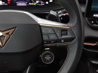 Cupra Terramar 1.5 eTSI 110kW (150 CV) DSG