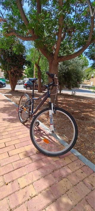 Bicicleta de Montaña