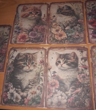 Papel Scrapbooking Gatitos y Flores