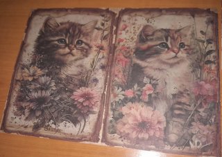 Papel Scrapbooking Gatitos y Flores