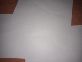 Papel Scrapbooking Gatitos y Flores