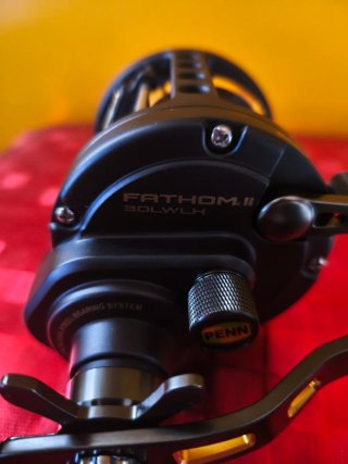 Carrete de pesca Penn Fathom II