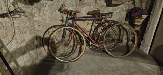 Lote liquidación trastero: antigüedades y retro