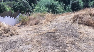 Trabajos de desbroces y mantenimiento de jardin