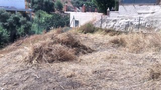 Trabajos de desbroces y mantenimiento de jardin