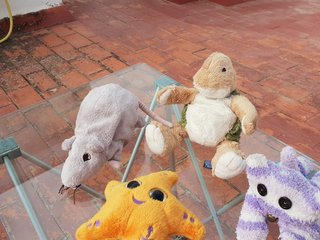 Lote de peluches variados