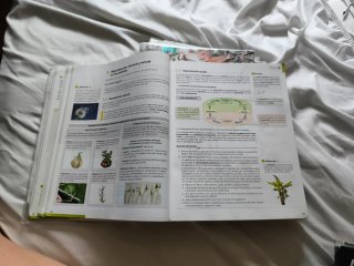 Biología, Geología y Ciencias Ambientales 1o Ba...