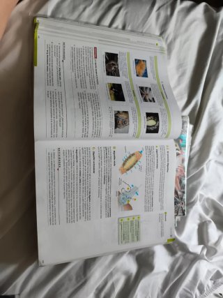 Biología, Geología y Ciencias Ambientales 1o Ba...