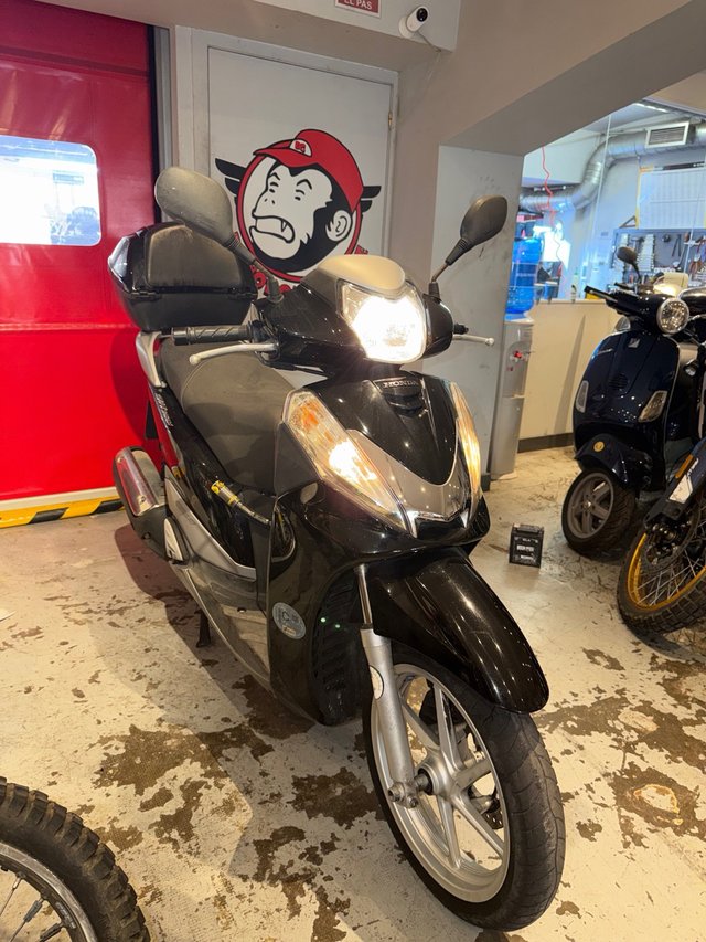 Honda SH 300 2013