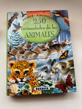 Pack 4 libros infantiles (4-10años)