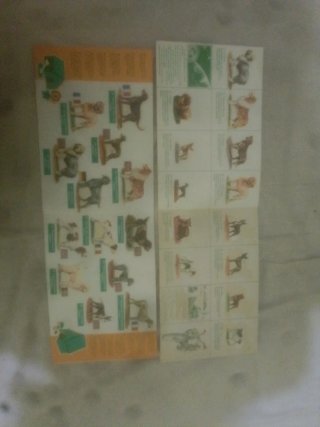 2 Álbumes Panrico Perros Completos
