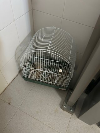 Jaula para pájaros
