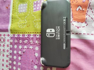 Nintendo Switch Lite Gris + Funda (NO ENCIENDE)