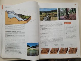 Libro de texto