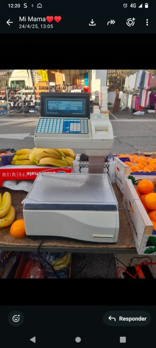 Báscula digital para pesar