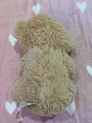 Peluche Oso Corazón Love Pepco Nuevo