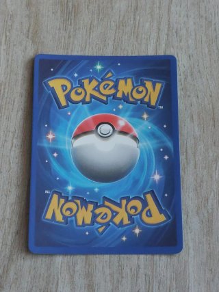 Carta Pokemon Charizard V LV.91 HP 508